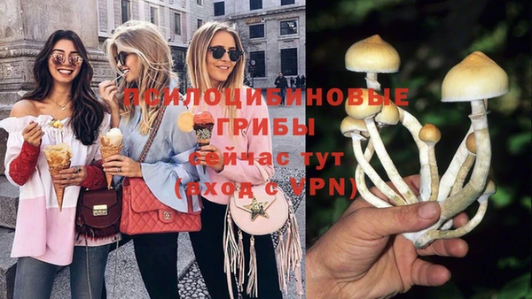 МДПВ Нефтекумск